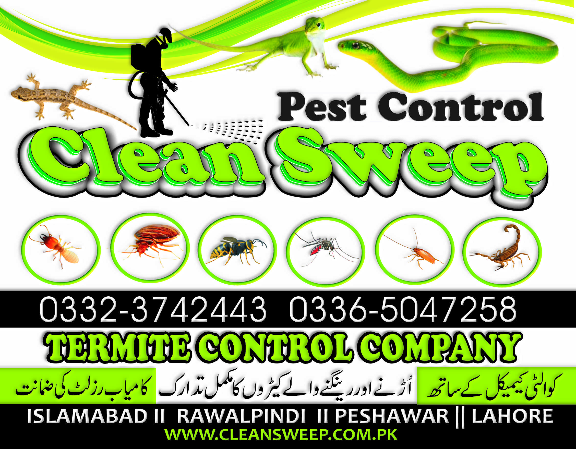 Termite Treatment Rawalpindi